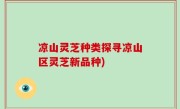 凉山灵芝种类探寻凉山区灵芝新品种)