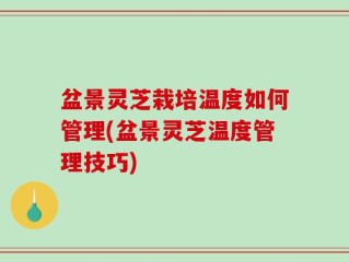 盆景灵芝栽培温度如何管理(盆景灵芝温度管理技巧)