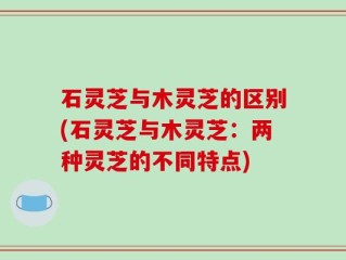 石灵芝与木灵芝的区别(石灵芝与木灵芝：两种灵芝的不同特点)