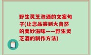 野生灵芝泡酒的文案句子(让您品尝到大自然的美妙滋味——野生灵芝酒的制作方法)