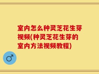 室内怎么种灵芝花生芽视频(种灵芝花生芽的室内方法视频教程)