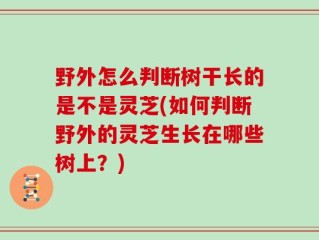 野外怎么判断树干长的是不是灵芝(如何判断野外的灵芝生长在哪些树上？)
