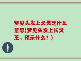 梦见头发上长灵芝什么意思(梦见头发上长灵芝，预示什么？)