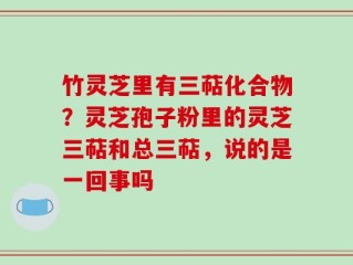 竹灵芝里有三萜化合物？灵芝孢子粉里的灵芝三萜和总三萜，说的是一回事吗