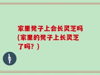 家里凳子上会长灵芝吗(家里的凳子上长灵芝了吗？)