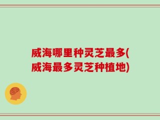 威海哪里种灵芝最多(威海最多灵芝种植地)