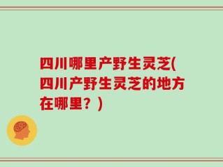 四川哪里产野生灵芝(四川产野生灵芝的地方在哪里？)
