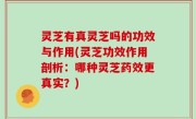 灵芝有真灵芝吗的功效与作用(灵芝功效作用剖析：哪种灵芝药效更真实？)