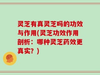 灵芝有真灵芝吗的功效与作用(灵芝功效作用剖析：哪种灵芝药效更真实？)
