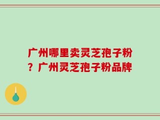 广州哪里卖灵芝孢子粉？广州灵芝孢子粉品牌