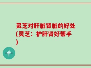 灵芝对肝脏肾脏的好处(灵芝：护肝肾好帮手)