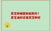 灵芝粉破壁前后照片？灵芝油好还是灵芝粉好