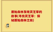 原始森林发现灵芝草的故事(寻找灵芝草：探秘原始森林之旅)