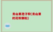 青山里孢子粉(青山里的花粉颗粒)