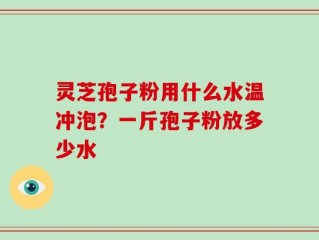灵芝孢子粉用什么水温冲泡？一斤孢子粉放多少水