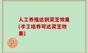 人工养殖达到灵芝效果(手工培养可达灵芝效果)
