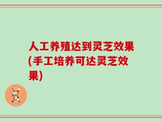 人工养殖达到灵芝效果(手工培养可达灵芝效果)