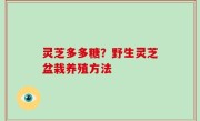 灵芝多多糖？野生灵芝盆栽养殖方法