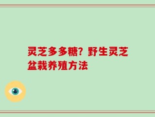灵芝多多糖？野生灵芝盆栽养殖方法