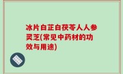 冰片白芷白茯苓人人参灵芝(常见中药材的功效与用途)