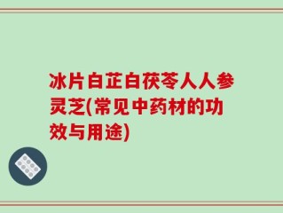 冰片白芷白茯苓人人参灵芝(常见中药材的功效与用途)