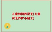 儿童如何养灵芝(儿童灵芝养护小贴士)