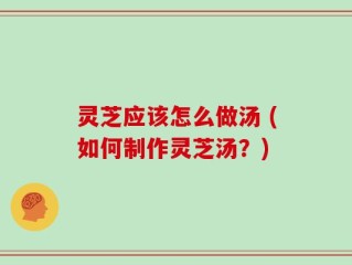 灵芝应该怎么做汤 (如何制作灵芝汤？)
