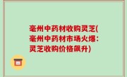 毫州中药材收购灵芝(毫州中药材市场火爆：灵芝收购价格飙升)