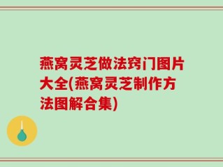 燕窝灵芝做法窍门图片大全(燕窝灵芝制作方法图解合集)