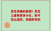 灵芝多糖的鉴别？灵芝上面有很多小孔，也不怎么结实，说是野生的