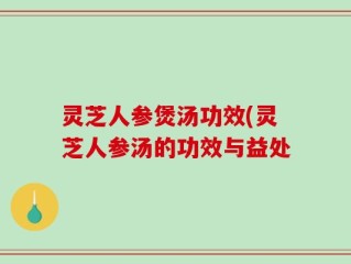 灵芝人参煲汤功效(灵芝人参汤的功效与益处
