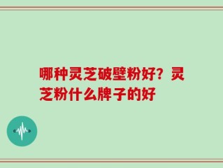 哪种灵芝破壁粉好？灵芝粉什么牌子的好