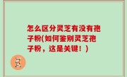 怎么区分灵芝有没有孢子粉(如何鉴别灵芝孢子粉，这是关键！)