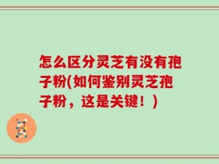 怎么区分灵芝有没有孢子粉(如何鉴别灵芝孢子粉，这是关键！)