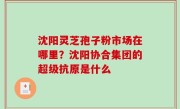 沈阳灵芝孢子粉市场在哪里？沈阳协合集团的超级抗原是什么