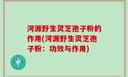 河源野生灵芝孢子粉的作用(河源野生灵芝孢子粉：功效与作用)