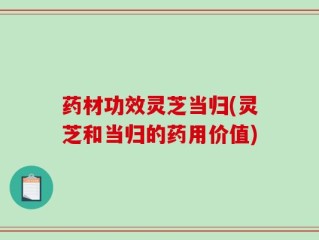 药材功效灵芝当归(灵芝和当归的药用价值)