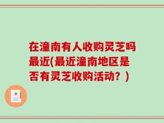 在潼南有人收购灵芝吗最近(最近潼南地区是否有灵芝收购活动？)
