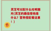 灵芝可以配什么吃呢图片(灵芝的最佳搭档是什么？营养搭配看这里！)