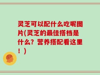 灵芝可以配什么吃呢图片(灵芝的最佳搭档是什么？营养搭配看这里！)