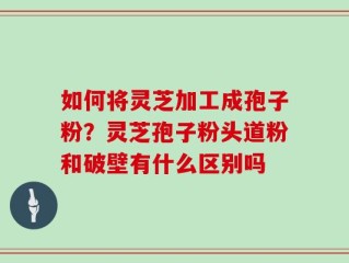 如何将灵芝加工成孢子粉？灵芝孢子粉头道粉和破壁有什么区别吗