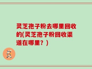 灵芝孢子粉去哪里回收的(灵芝孢子粉回收渠道在哪里？)