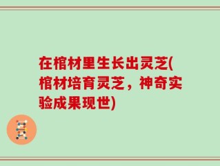 在棺材里生长出灵芝(棺材培育灵芝，神奇实验成果现世)