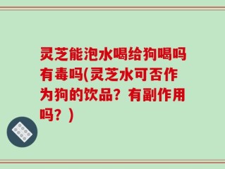 灵芝能泡水喝给狗喝吗有毒吗(灵芝水可否作为狗的饮品？有副作用吗？)