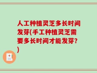 人工种植灵芝多长时间发芽(手工种植灵芝需要多长时间才能发芽？)