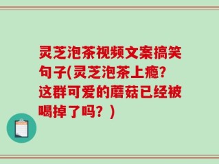 灵芝泡茶视频文案搞笑句子(灵芝泡茶上瘾？这群可爱的蘑菇已经被喝掉了吗？)