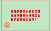 枯死的芒果树长的灵芝能吃吗芒果树枯死后生长的灵芝能否食用？)