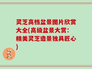 灵芝高档盆景图片欣赏大全(高级盆景大赏：精美灵芝造景独具匠心)