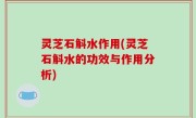 灵芝石斛水作用(灵芝石斛水的功效与作用分析)