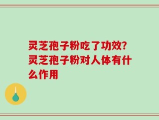 灵芝孢子粉吃了功效？灵芝孢子粉对人体有什么作用